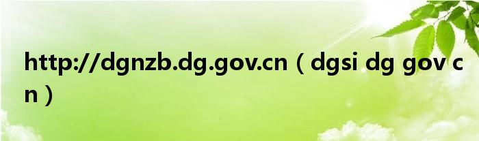 http://dgnzb.dg.gov.cn（dgsi dg gov cn）