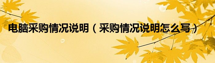 电脑采购情况说明（采购情况说明怎么写）