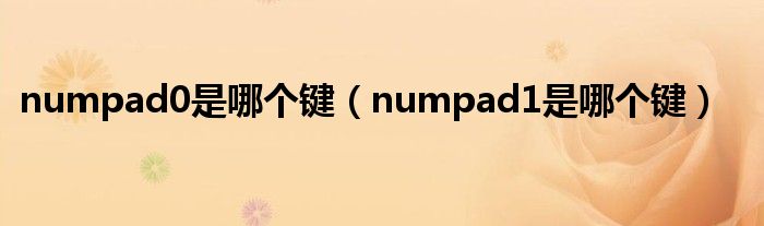 numpad0是哪个键（numpad1是哪个键）