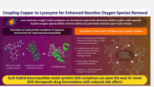 新研究表明铜与溶菌酶结合具有出色的活性氧去除能力