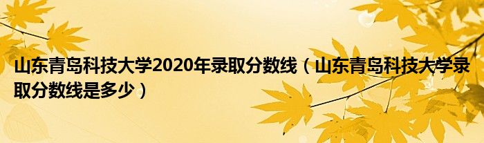 山东青岛科技大学2020年录取分数线（山东青岛科技大学录取分数线是多少）