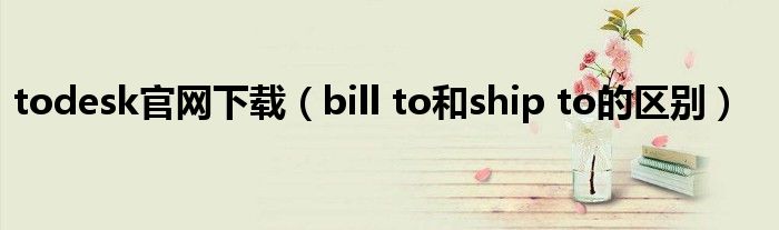 todesk官网下载（bill to和ship to的区别）