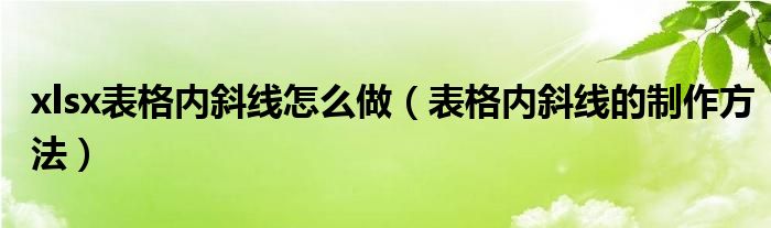 xlsx表格内斜线怎么做（表格内斜线的制作方法）