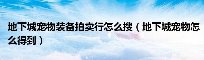 地下城宠物装备拍卖行怎么搜（地下城宠物怎么得到）