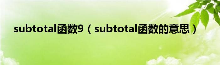 subtotal函数9（subtotal函数的意思）