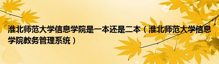 淮北师范大学信息学院是一本还是二本（淮北师范大学信息学院教务管理系统）