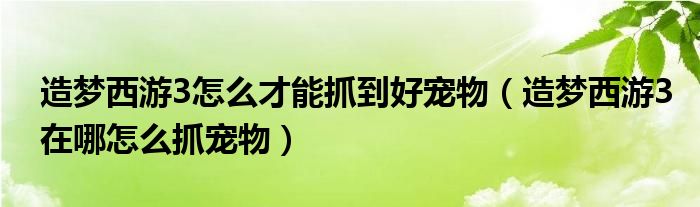 造梦西游3怎么才能抓到好宠物（造梦西游3在哪怎么抓宠物）