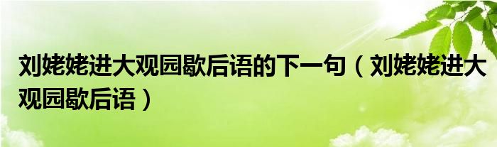 刘姥姥进大观园歇后语的下一句（刘姥姥进大观园歇后语）