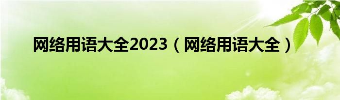 网络用语大全2023（网络用语大全）