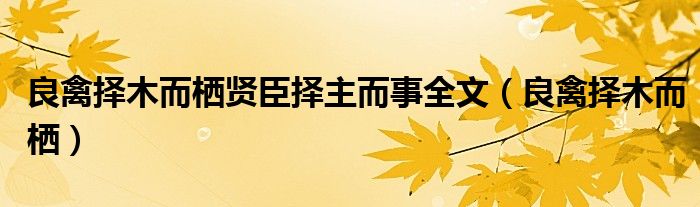 良禽择木而栖贤臣择主而事全文（良禽择木而栖）