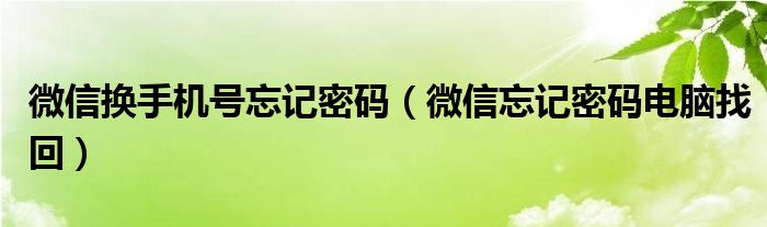 微信换手机号忘记密码（微信忘记密码电脑找回）