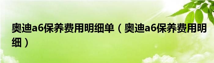 奥迪a6保养费用明细单（奥迪a6保养费用明细）