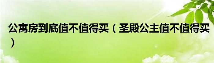 公寓房到底值不值得买（圣殿公主值不值得买）