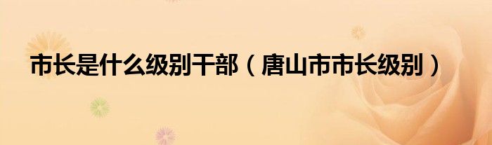 市长是什么级别干部（唐山市市长级别）