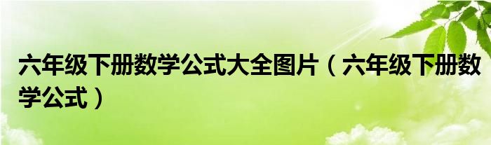 六年级下册数学公式大全图片（六年级下册数学公式）