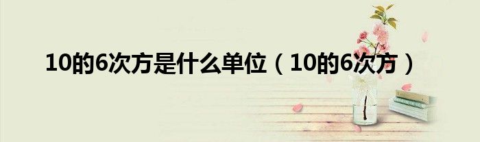 10的6次方是什么单位（10的6次方）