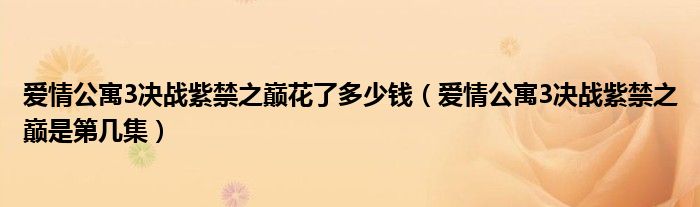 爱情公寓3决战紫禁之巅花了多少钱（爱情公寓3决战紫禁之巅是第几集）