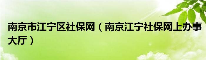 南京市江宁区社保网（南京江宁社保网上办事大厅）