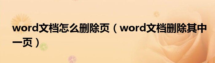 word文档怎么删除页（word文档删除其中一页）