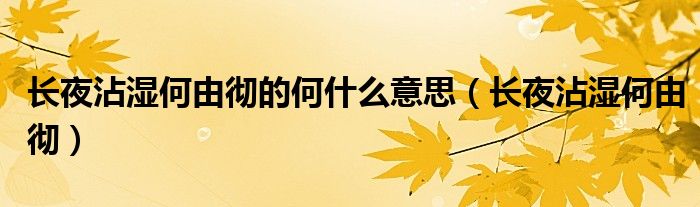 长夜沾湿何由彻的何什么意思（长夜沾湿何由彻）