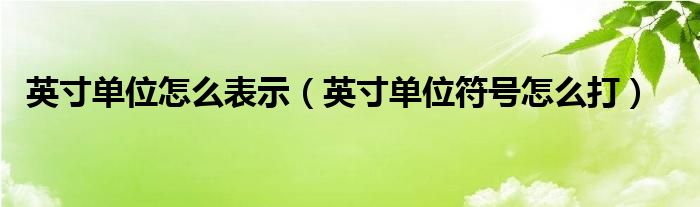 英寸单位怎么表示（英寸单位符号怎么打）