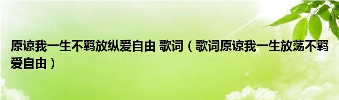 原谅我一生不羁放纵爱自由 歌词（歌词原谅我一生放荡不羁爱自由）