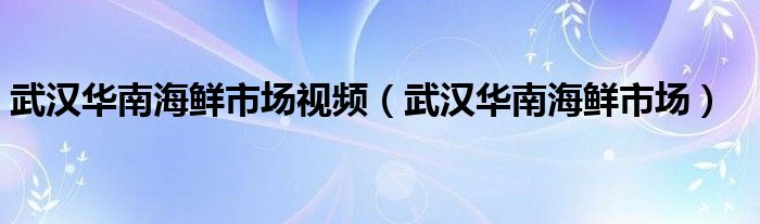 武汉华南海鲜市场视频（武汉华南海鲜市场）