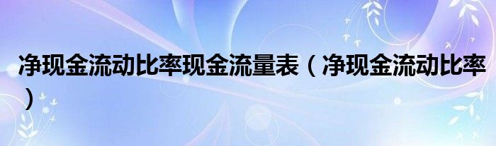 净现金流动比率现金流量表（净现金流动比率）