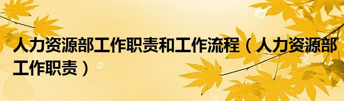 人力资源部工作职责和工作流程（人力资源部工作职责）