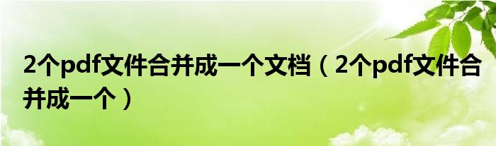 2个pdf文件合并成一个文档（2个pdf文件合并成一个）