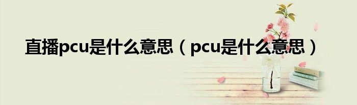 直播pcu是什么意思（pcu是什么意思）