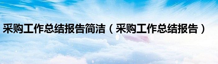 采购工作总结报告简洁（采购工作总结报告）