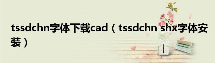 tssdchn字体下载cad（tssdchn shx字体安装）