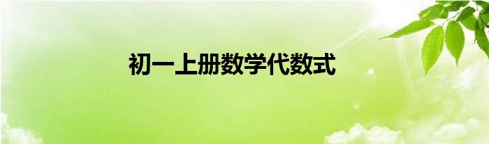 初一上册数学代数式