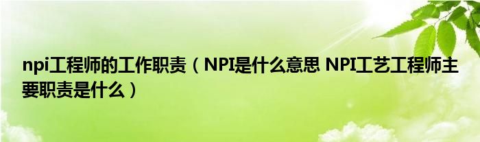 npi工程师的工作职责（NPI是什么意思 NPI工艺工程师主要职责是什么）