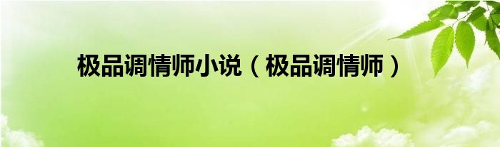 极品调情师小说（极品调情师）