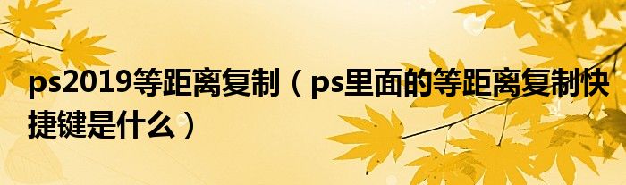 ps2019等距离复制（ps里面的等距离复制快捷键是什么）