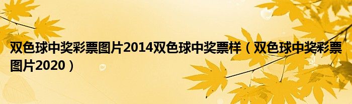 双色球中奖彩票图片2014双色球中奖票样（双色球中奖彩票图片2020）