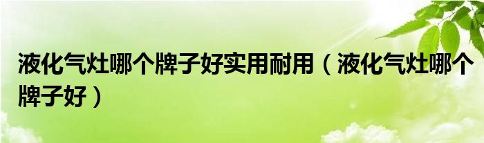 液化气灶哪个牌子好实用耐用（液化气灶哪个牌子好）