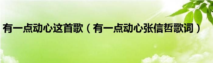 有一点动心这首歌（有一点动心张信哲歌词）