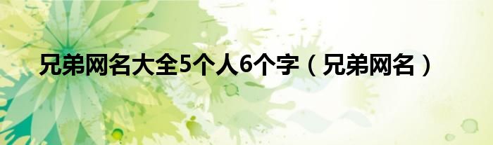 兄弟网名大全5个人6个字（兄弟网名）