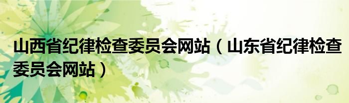 山西省纪律检查委员会网站（山东省纪律检查委员会网站）