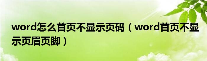 word怎么首页不显示页码（word首页不显示页眉页脚）