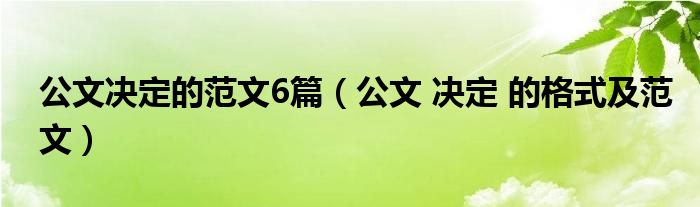 公文决定的范文6篇（公文 决定 的格式及范文）