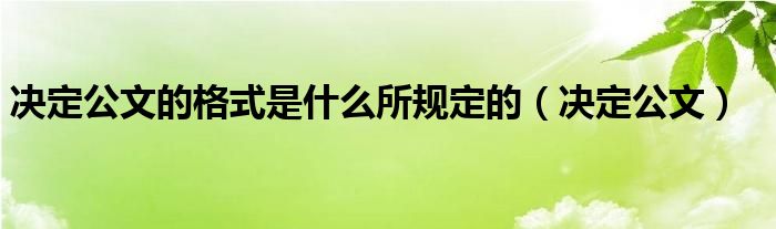 决定公文的格式是什么所规定的（决定公文）