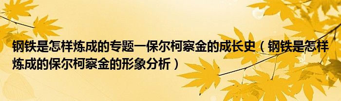 钢铁是怎样炼成的专题一保尔柯察金的成长史（钢铁是怎样炼成的保尔柯察金的形象分析）