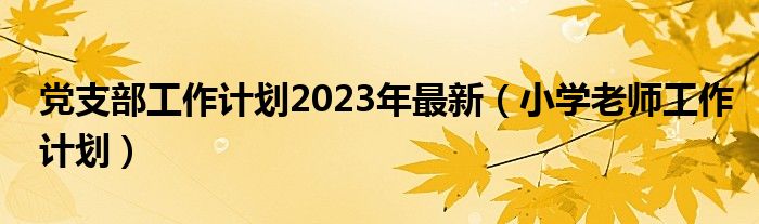 党支部工作计划2023年最新（小学老师工作计划）