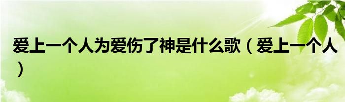 爱上一个人为爱伤了神是什么歌（爱上一个人）