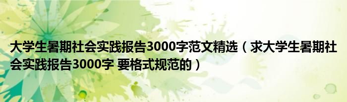 大学生暑期社会实践报告3000字范文精选（求大学生暑期社会实践报告3000字 要格式规范的）