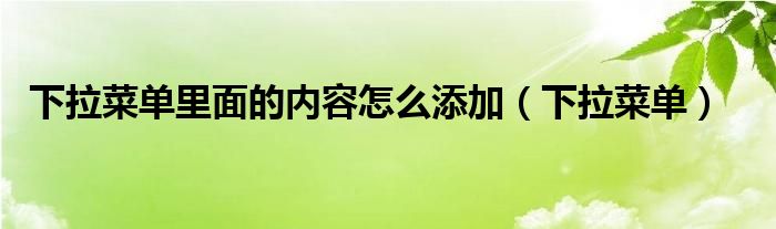 下拉菜单里面的内容怎么添加（下拉菜单）